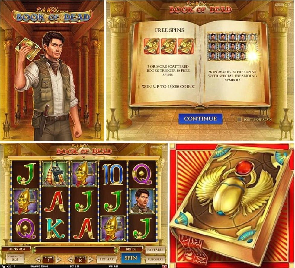 How to play Book Of Dead casino game