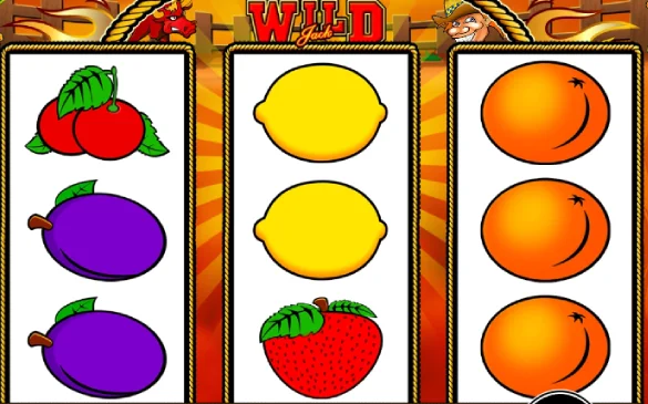 Mega Jack slot machine review 4