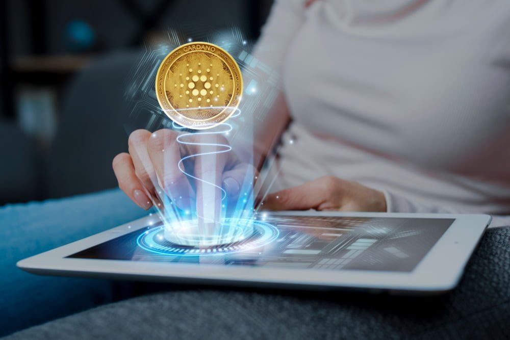 Best Bitcoin Gambling Sites 2024 Ranked & Reviewed 3
